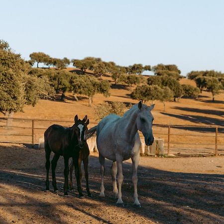 Herdade Da Caniceira Ervedal Kültér fotó